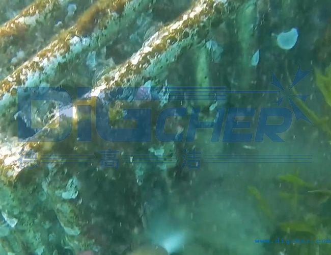 ˮ���Bֳ�W����ϴ���g