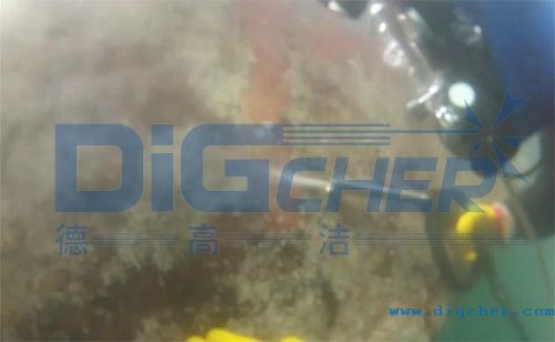 ���׳��������O��