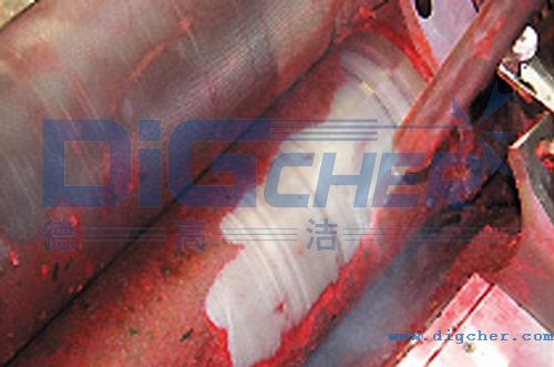 �¸ߝ�DPT Pro�ɱ���ϴ�C��ӡˢ���I�ϵđ���